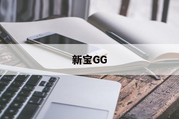新宝GG(新宝测速6登录)